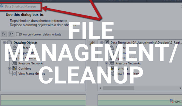 File Management/Cleanup | Managing Civil 3D – ProSoft